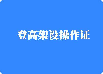 抽插大黑逼视频登高架设操作证